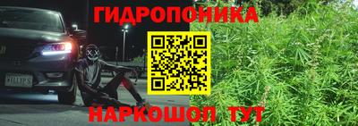 apvp Татарск