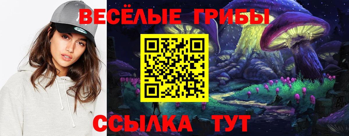 Мариинск  Галлюциногенные грибы Cubensis  Псилоцибиновые грибы MAGIC MUSHROOMS  Вход с VPN 